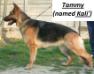  Tammy (named Kalì)