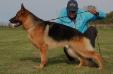 teamaaby Esko