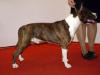 Mia Albachiara Apollo Ike