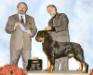 AKC CH, INT CH Abraxus Agony von Jam Roc