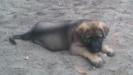 Jock von der Tetiaroa