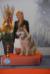 <span style="color: darkred">JCH</span> Indiana Jones of Malamute Sanctuary FCI