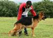 Hector of Deejay