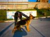 Hero Kreta Rex House