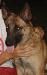 MANALO K9's Bat