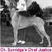 CH Sunridge's Chief Justice