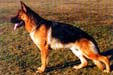 Yarno von Arjakjo