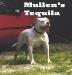 Mullens' Tequila