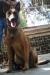 MANALO K9's Bwiset