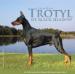 AM. CH. Trotyl de Black Shadow