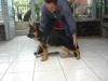 Ares de Tkabenuk