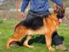 Orbit von Petworld