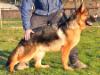 Ural von Petworld