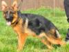 Oxana von Petworld