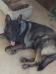 Ajax Von Aleman