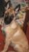Cleopatra De Goienetxe Del Baztan