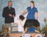 AKC/ASCA/CKC/Int'l CH Okellies Awesome Bound 2