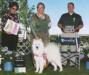 AKC CH / UKC GCH Dbl Helix ArticCross Nu Blood at SFX