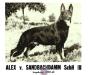Alex vom Sandbachdamm