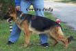 Covery Judy