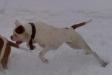Milka-Bella Mao's Snow Kingdom