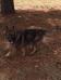 Apache von Self