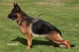 Fraya von United Hof