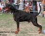 INT CH MULTIBLE CH Dobergaarden Forever Athos