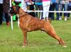 CHAMPION JORRICK de la Finca Sapho