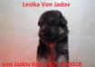 Lesika von jadov