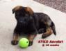 AYKO Anrebri