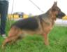 Lexy il Mercabah(Grace)