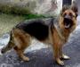 zilli von olympos