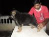 nishan`s caty
