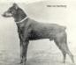  Max von Isenburg (DZB 152)(1904)