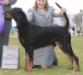 CH (AKC/CKC) Windbourne Make My Day