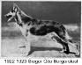 '22/23 SGR GV CH(US) Cito Bergerslust