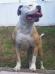 Canela Of CB Bulldogs