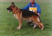 VA4 (IT) Baxter del Tessitore