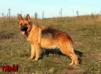 Tana (UA) 2008