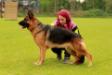 Kelsey v. Huis van Sallandstreek