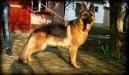 Delma von Marbo Wolf
