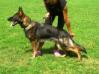 Barny Suche Lazce