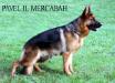 Pavel il Mercabah