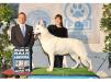 CH ARG Dos Blancos Roco
