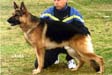 Tex von der Noriswand