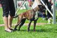 Ability Gracelyn Gretchen