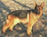 Duke von Silbernem Flusschen