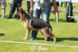 MADNESS VON SAIGO