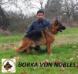 Borka Von Petworld